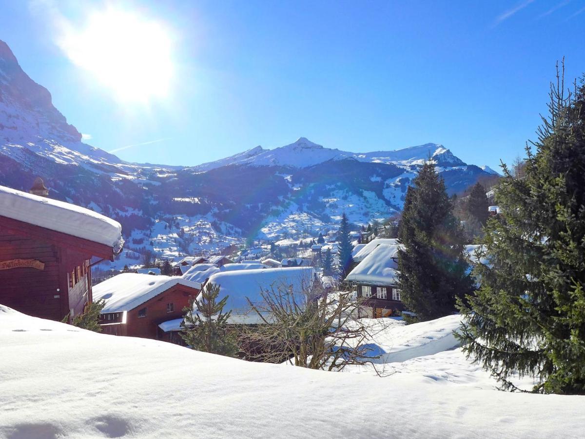 Apartment Chalet Sunneblick By Interhome Grindelwald Luaran gambar