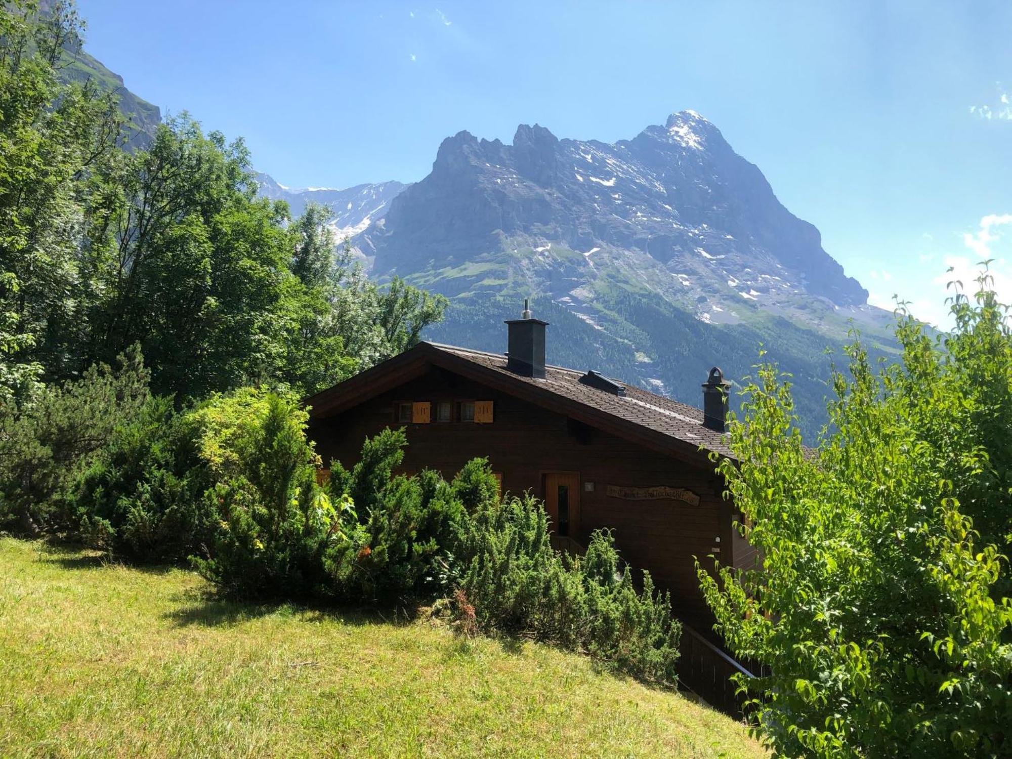 Apartment Chalet Sunneblick By Interhome Grindelwald Luaran gambar